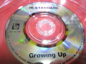 Hi-STANDARD / GROWING UP　[会場限定配布CDS] ★GREEN DAY初来日ライブ会場配布8cmCD★※台紙無し。CDのみ。★ハイ・スタンダード