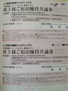 【最新】東急不動産ホールディングス　株主優待 株主様ご宿泊優待共通券 東急リゾートホテル・東急ステイ 宿泊割引券 2枚セット　同梱可