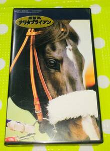 即決〈同梱歓迎〉VHS ナリタブライアン 最強場 データブック付 競馬 ポニーキャニオン◎その他ビデオDVD多数出品中∞M8