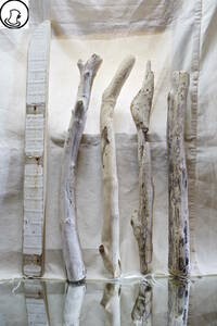 SEASIDEinterior★流木をインテリアオブジェに、Cool driftwood for decorating 70