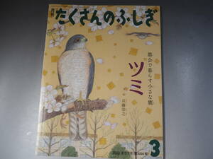 月刊 たくさんのふしぎ 2022年3月　都会で暮らす小さな鷹　ツミ