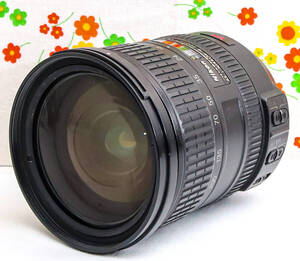 美品 ニコン Nikon AF-S DX 18-200㎜☆近距離から望遠まで！