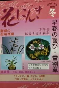 花にんき 1998冬