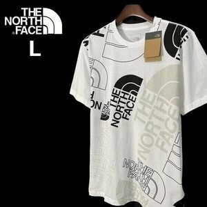 1円～!売切!【正規新品】THE NORTH FACE◆S/S GRAPHIC INJECTION TEE 半袖 Tシャツ US限定 グラフィック 男女兼用 登山(L)白 180902-15