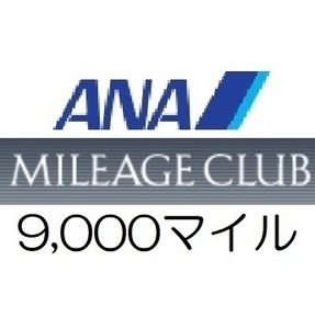 【即決 匿名】全日空ANA9,000マイル　希望の口座へ加算