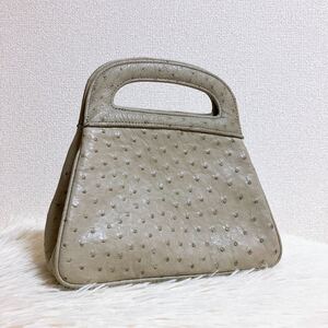 Ostrich オーストリッチ ミニサイズ ハンドバッグ グレー フルポイント JANELL ジャネル 1円スタート エキゾチックレザー ダチョウ革