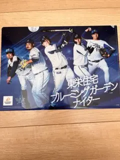 横浜DeNAベイスターズ　プロ野球　ファイル