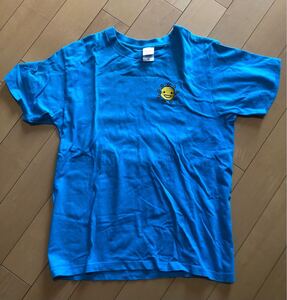 青　Tシャツ M 半袖　おひさま　刺繍　