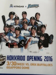 ■大谷翔平　陽岱鋼　中田翔 etc. ミニクリアファイル■北海道日本ハムファイターズ