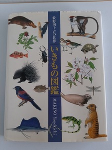 ★送料込【いきもの図鑑―牧野四子吉の世界】マキノヨネキチ画集★約1200点の動植物挿絵原画【東方出版】