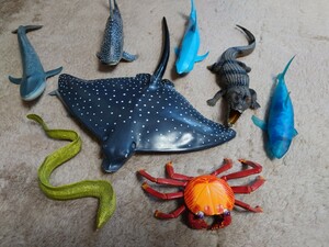 美品 恐竜 海の生きもの フィギュア 8体セット 検)エイ カニ クジラ ワニ ウツボ など大型フィギュア シュライヒ パボ Pabo Schleich