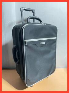 AO1130.16 shinwoo スーツケース キャリーバッグ 2輪 トランクケース 旅行 SW ブラック 黒　約34×50×22cm