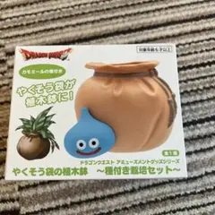 最終値下げ！ドラクエ　やくそう袋の植木鉢　AM ドラゴンクエスト