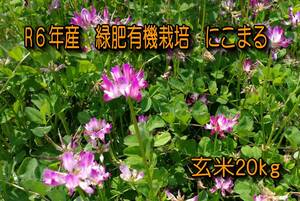 ♪♪R6年10月収穫　こだわり緑肥有機栽培　奈良県産にこまる　玄米20kg　 農家直送 【送料無料】　無料精米可♪♪