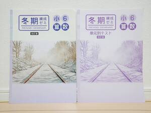 格安未使用品★算数 問題集 冬期錬成ゼミ 小学校 6年生 2冊セット 書き込みなし 学力アップ テスト対策 小学生 勉強本 小6 ドリル 解答付き