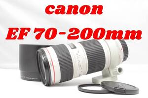 光学キレイ！canon EF 70-200mm 1:4L USM 　F4 キヤノン　キャノン　Lレンズ　動作確認済み！　ズームレンズ