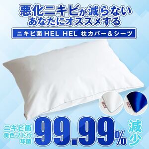 【ニキビケアの新常識】夜間集中型ニキビ対策！寝ながらラクラクニキビケア～ニキビ菌HEL HELヘルヘル枕カバー〈ホワイト〉