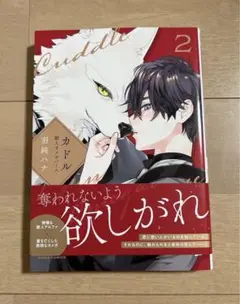 未読 新品 美品 羽純ハナ カドル  2巻