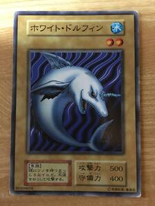 遊戯王カード　初期　ノーマル　ホワイト・ドルフィン