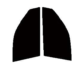 ライトスモーク　５０％　運転席、助手席　クルーガーV　V2#　カット済みフィルム