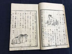 小学博物小解　2冊　絵入り　検　お経写経写本唐本漢籍和本和書中国支那仏教真言密教密宗古本古書古文書漢詩漢文易学周易拓本医学漢方朝鮮