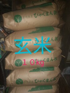 令和6年産　玄米　10kg 　石川県産 ひゃくまん穀　噛み応え抜群　大粒品種　能登米　新米　10キロ　2024年　米　農家直送　　　#コシヒカリ