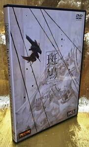 ゲーム攻略ＤＶＤ　斑鳩 IKARUGA APPRECIATE DVD