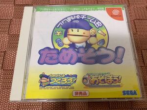 DC体験版ソフト プロ野球チームをためそう！ファミ通版 非売品 ドリームキャスト SEGA セガ DREAMCAST DEMO DISC 当選品 抽プレ