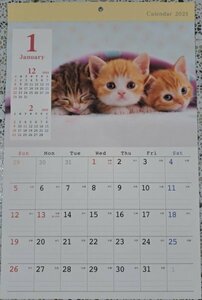 【１冊：可愛い 「子猫」 カレンダー：A3:44x29cm】★2025：壁掛け★猫・仔猫・ねこ・ネコ ：暦・こよみ：12面