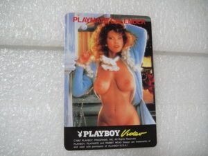 販促用ミニカレンダー　playboy　nude （2部）