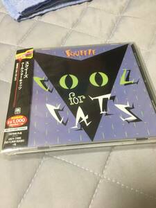 スクイーズ「COOL FOR CATS」SQUEEZE/GLENN TILBROOK/JOOLS HOLLAND/JOHN WOOD/CHRIS DIFFORD