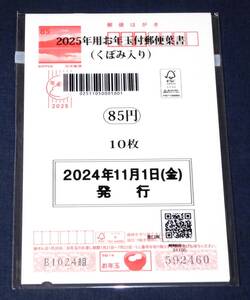 2025年用 令和7年用年賀はがき くぼみ入り 未開封10枚セット 未使用美品 発行枚数少ない 560680