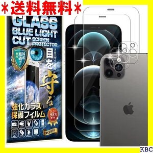 ブルーライトカット 93% 2枚＋2枚 RISE ガラ 水撥油 3D タッチ For iPhone 12 Pro 349