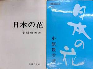 ★送料0円★　日本の花　小原豊雲　主婦の友社　昭和42年2月　ZB240109M1