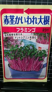 ３袋セット 赤茎 かいわれ 大根 フラミンゴ カイワレダイコン 種 郵便は送料無料