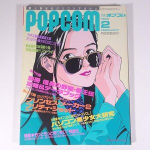 月刊 POPCOM ポプコム Vol.119 1993/2 小学館 雑誌 PC パソコン ゲーム 特集・パソコン美少女大研究 もっともっと知りたい！同級生 ほか