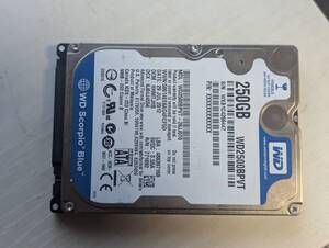 WD HDD　250GB　2.5インチ 内蔵ハードディスク【動作確認済み】　66447