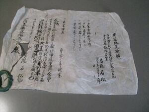 稀少　徴兵検査資料　「寄留地受験願」　明治35年　北海道余市町