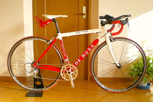 DE ROSA TEAM デローザ チーム