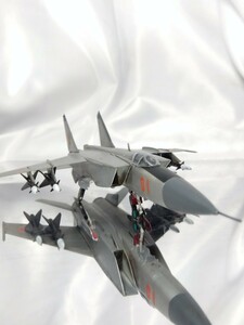 1/144　ミグMig25フォックスバット　組み立てキット完成品　 エフトイズ　アリイ　 WKC　 WTM