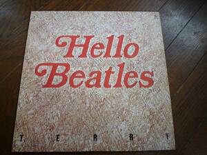 2枚組LP☆　Hello Beatles　寺内タケシとブルージーンズ　☆Back In The U.S.S.R. , Ticket To Ride, Eleanor Rigby, Girl, Help