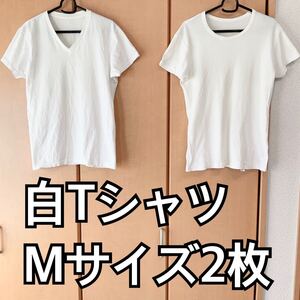 グンゼ&イオン 2枚 Tシャツ Mサイズ AEON GUNZE