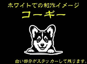 CS-0203-01 覗き見わんちゃん　コーギー　ドックステッカー　犬ステッカー