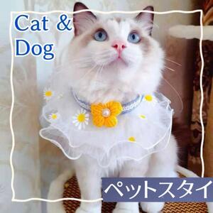 ペット 服 スタイ 首輪 小型犬 猫 チョーカー スカーフ ペット用品 室内犬 ペット服 犬 冬 フリル レース かわいい おしゃれ 首輪 可愛い