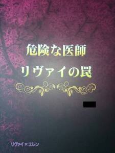 進撃の巨人同人誌★リヴァエレ長編小説★Berry Garden「危険な医師リ～」