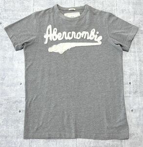 Abercrombie & Fitch ほつれ加工 ロゴ Tシャツ アバクロ　　アバクロンビー&フィッチ ダメージ加工 チームロゴ風 柔らかい上質素材 柳9886