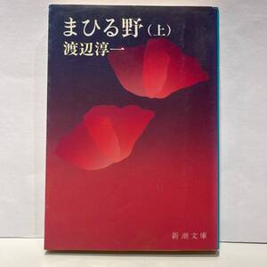 まひる野（上）著/渡辺淳一　新潮文庫