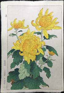 木版画 河原崎奨堂【菊】芸艸堂 大判 彫長島 摺新味 真作保証 ■ 浮世絵 新版画 植物画 Ukiyoe 