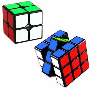 ランクチュアリー キューブ2種セット 立体パズル 2×2 3×3 2個入り 知育玩具 脳トレ