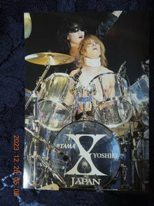 Toshl YOSHIKI ブロマイド ⑯ / TOSHI 龍玄とし / X JAPAN 生写真